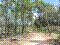 Chemin Vert bois 02.jpg